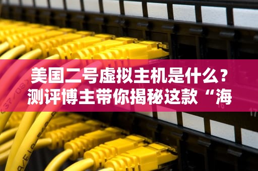 美国二号虚拟主机是什么？测评博主带你揭秘这款“海外小钢炮”！