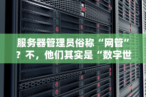 服务器管理员俗称“网管”？不，他们其实是“数字世界的超级英雄”！