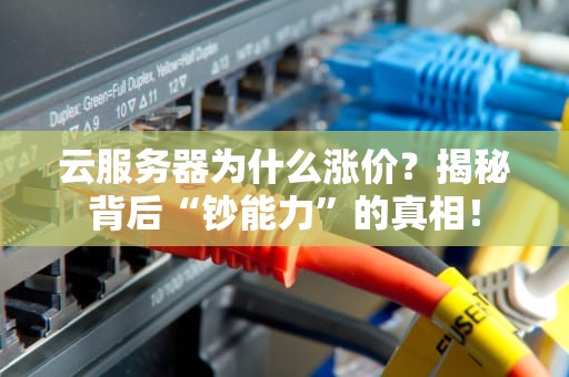 云服务器为什么涨价？揭秘背后“钞能力”的真相！