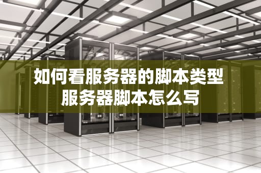 如何看服务器的脚本类型 服务器脚本怎么写
