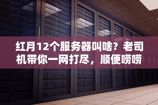 红月12个服务器叫啥？老司机带你一网打尽，顺便唠唠选服玄学！