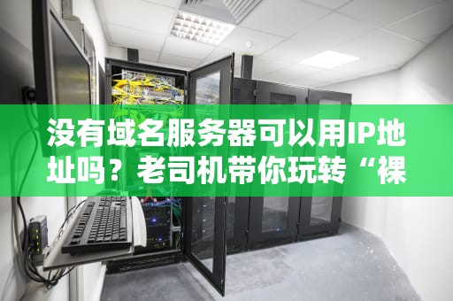 没有域名服务器可以用IP地址吗？老司机带你玩转“裸奔”上网！