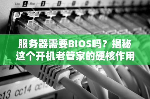 服务器需要BIOS吗？揭秘这个开机老管家的硬核作用！