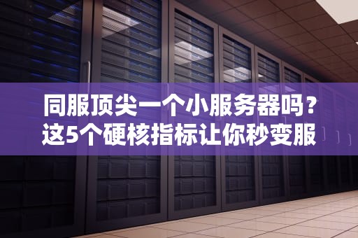 同服顶尖一个小服务器吗？这5个硬核指标让你秒变服务器老司机！
