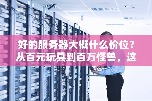 好的服务器大概什么价位？从百元玩具到百万怪兽，这篇指南让你秒懂！