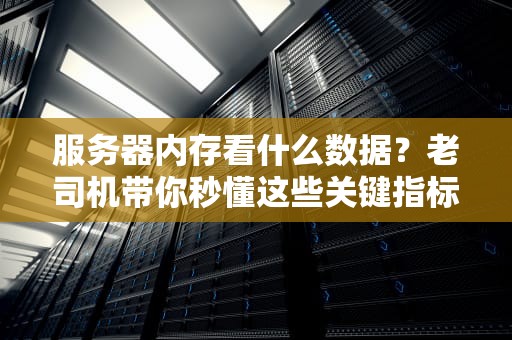 服务器内存看什么数据？老司机带你秒懂这些关键指标！