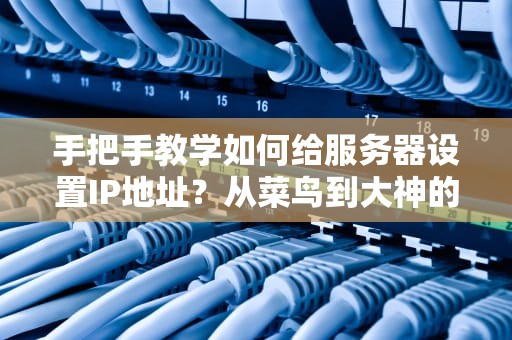 手把手教学如何给服务器设置IP地址？从菜鸟到大神的终极指南！