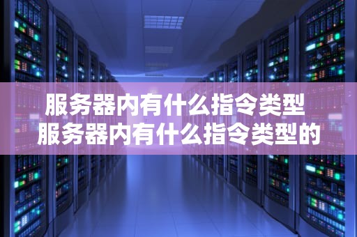 服务器内有什么指令类型 服务器内有什么指令类型的