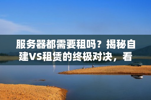 服务器都需要租吗？揭秘自建VS租赁的终极对决，看完再决定！