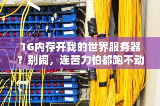 1G内存开我的世界服务器？别闹，连苦力怕都跑不动！