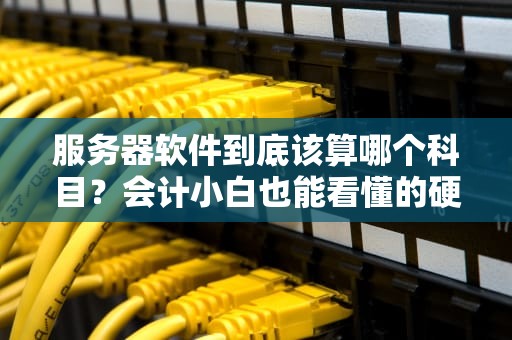 服务器软件到底该算哪个科目？会计小白也能看懂的硬核科普！