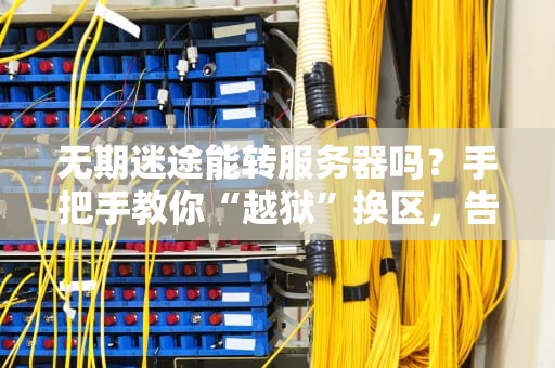 无期迷途能转服务器吗？手把手教你“越狱”换区，告别延迟卡顿！