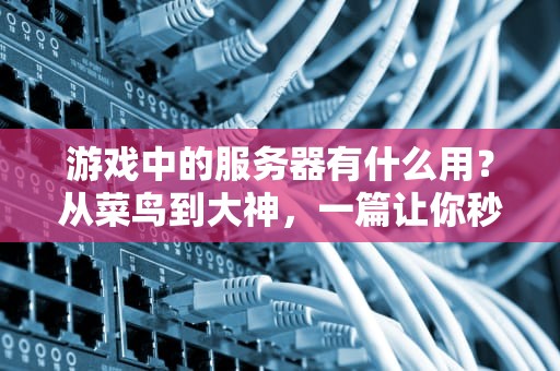 游戏中的服务器有什么用？从菜鸟到大神，一篇让你秒懂的科普文！