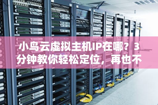 小鸟云虚拟主机IP在哪？3分钟教你轻松定位，再也不当网络“路痴”！
