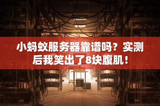 小蚂蚁服务器靠谱吗？实测后我笑出了8块腹肌！
