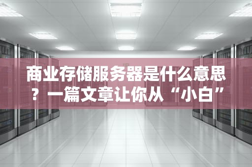商业存储服务器是什么意思？一篇文章让你从“小白”变“大神”！