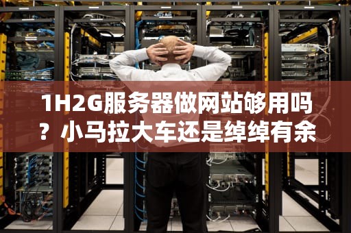 1H2G服务器做网站够用吗？小马拉大车还是绰绰有余？