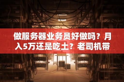 做服务器业务员好做吗？月入5万还是吃土？老司机带你揭秘行业真相！