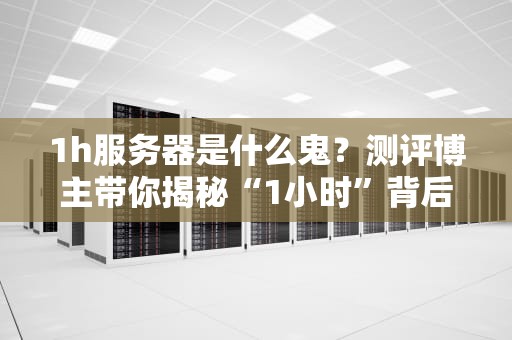 1h服务器是什么鬼？测评博主带你揭秘“1小时”背后的秘密！