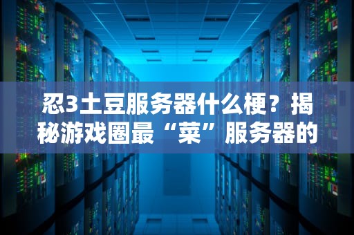 忍3土豆服务器什么梗？揭秘游戏圈最“菜”服务器的爆笑真相！