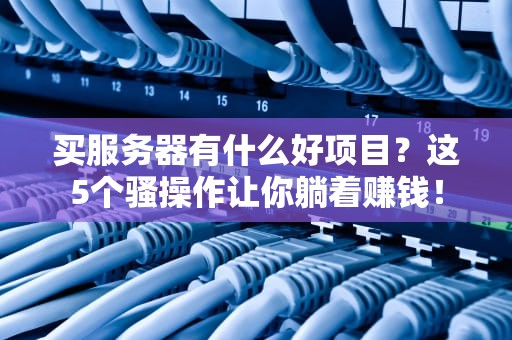 买服务器有什么好项目？这5个骚操作让你躺着赚钱！
