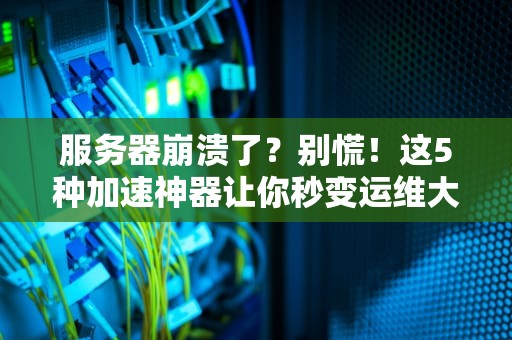 服务器崩溃了？别慌！这5种加速神器让你秒变运维大神！