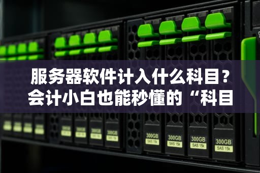 服务器软件计入什么科目？会计小白也能秒懂的“科目对号入座”指南！