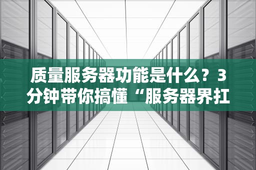 质量服务器功能是什么？3分钟带你搞懂“服务器界扛把子”的硬核实力！