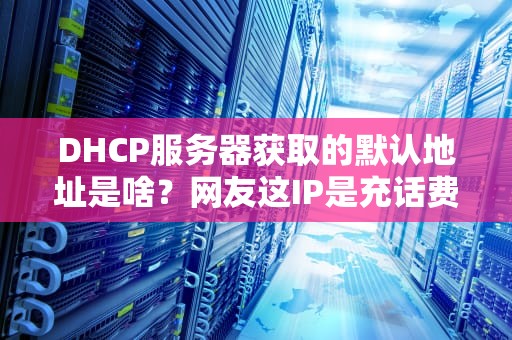 DHCP服务器获取的默认地址是啥？网友这IP是充话费送的吗？