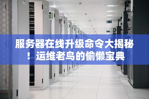 服务器在线升级命令大揭秘！运维老鸟的偷懒宝典