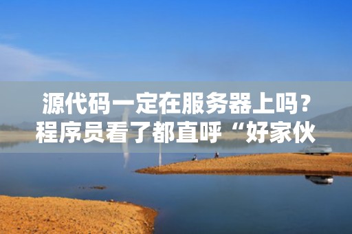 源代码一定在服务器上吗？程序员看了都直呼“好家伙”！