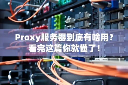 Proxy服务器到底有啥用？看完这篇你就懂了！