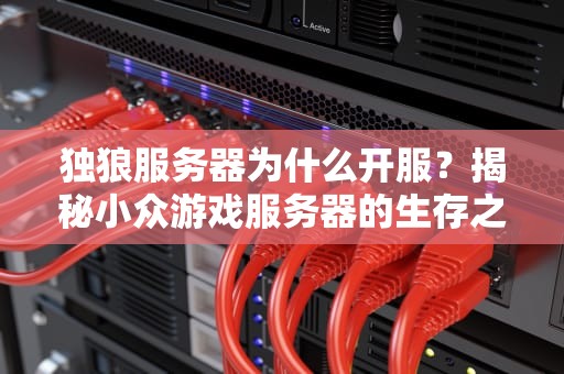 独狼服务器为什么开服？揭秘小众游戏服务器的生存之道！