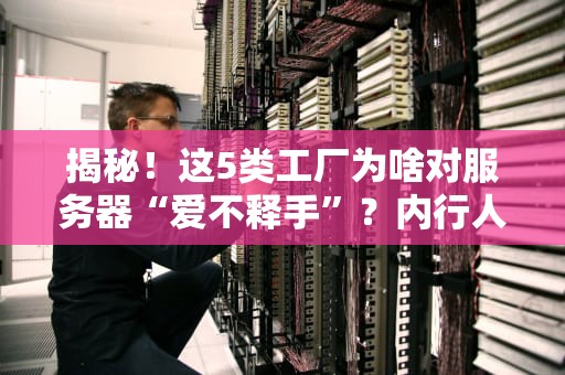 揭秘！这5类工厂为啥对服务器“爱不释手”？内行人省下的钱能买法拉利！