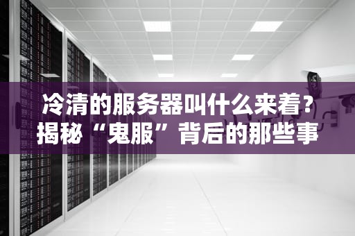 冷清的服务器叫什么来着？揭秘“鬼服”背后的那些事儿！