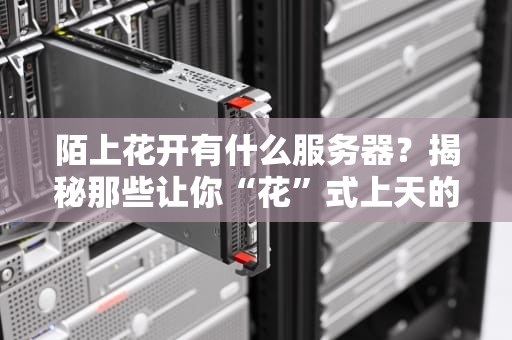 陌上花开有什么服务器？揭秘那些让你“花”式上天的服务器配置！