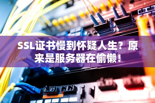 SSL证书慢到怀疑人生？原来是服务器在偷懒！