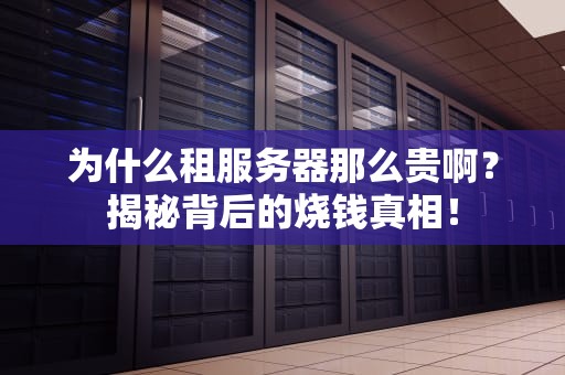 为什么租服务器那么贵啊？揭秘背后的烧钱真相！