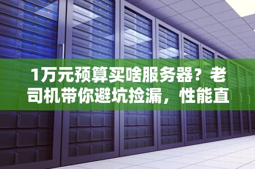 1万元预算买啥服务器？老司机带你避坑捡漏，性能直接起飞！