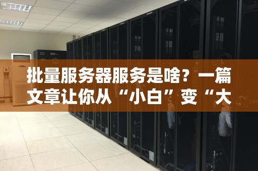 批量服务器服务是啥？一篇文章让你从“小白”变“大神”！