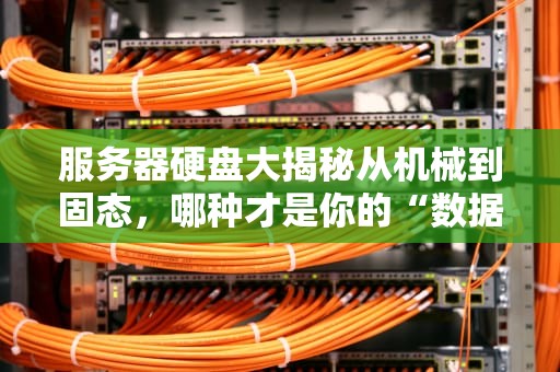 服务器硬盘大揭秘从机械到固态，哪种才是你的“数据超跑”？