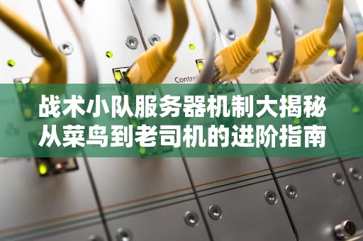 战术小队服务器机制大揭秘从菜鸟到老司机的进阶指南