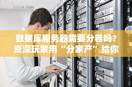 数据库服务器需要分卷吗？资深玩家用“分家产”给你讲明白！