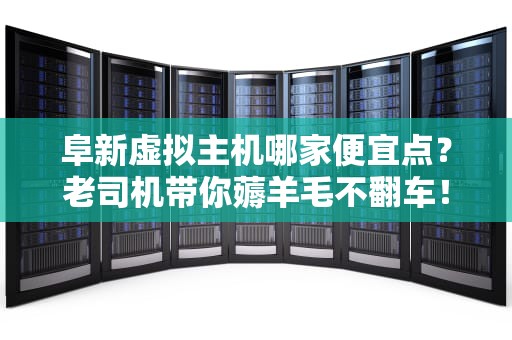 阜新虚拟主机哪家便宜点？老司机带你薅羊毛不翻车！