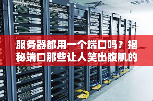服务器都用一个端口吗？揭秘端口那些让人笑出腹肌的冷知识！