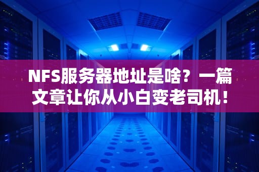 NFS服务器地址是啥？一篇文章让你从小白变老司机！