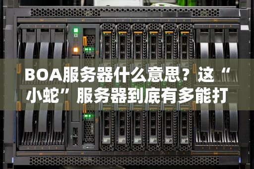 BOA服务器什么意思？这“小蛇”服务器到底有多能打？