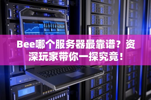 Bee哪个服务器最靠谱？资深玩家带你一探究竟！