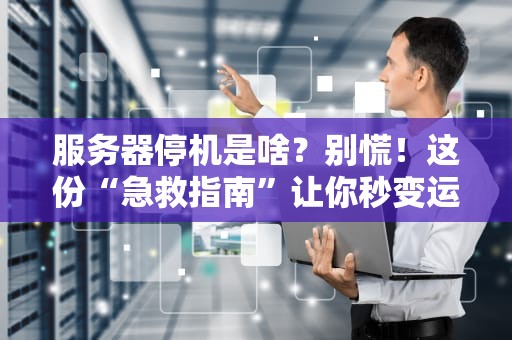 服务器停机是啥？别慌！这份“急救指南”让你秒变运维老司机！
