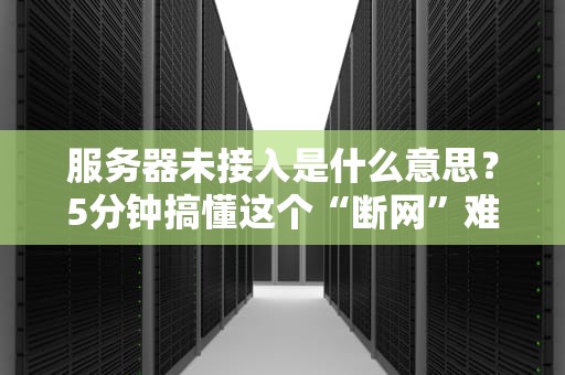 服务器未接入是什么意思？5分钟搞懂这个“断网”难题！